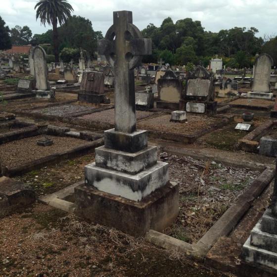 11072227_10152667883057791_971958646_n